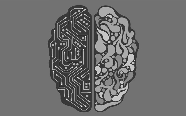 How does computer memory work- Two Sides of a Brain