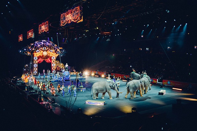 Why did Thomas Edison Electrocute an Elephant- Circus