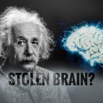 True Story of How Einstein’s Brain Was Stolen for Science | The 4 Decade Long Bargain