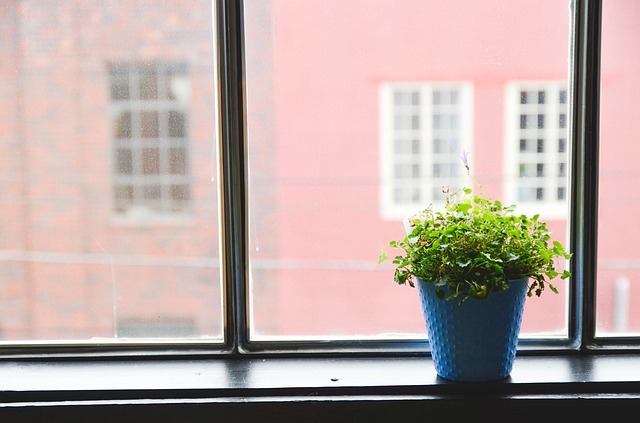 Watering Plants 