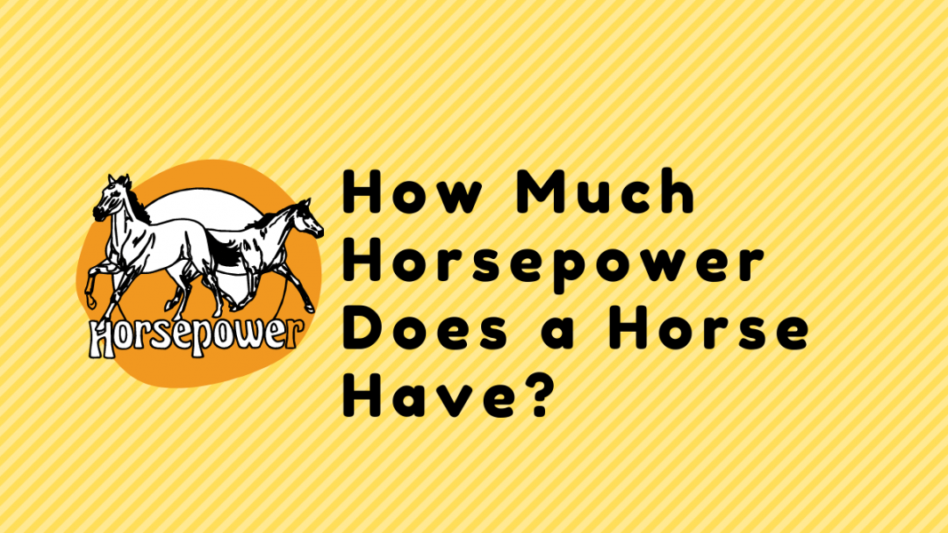 How Much Horsepower Does a Horse Have? Voltage Lab