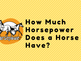 How Much Horsepower Does a Horse Have