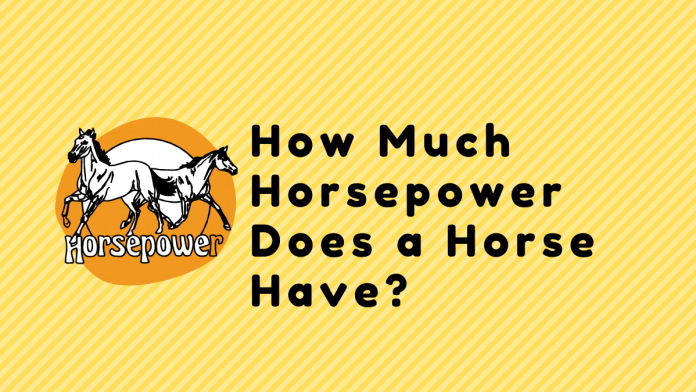 How Much Horsepower Does a Horse Have