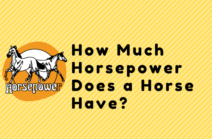 How Much Horsepower Does a Horse Have