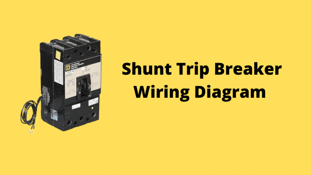 Shunt Trip Circuit Breaker Wiring Diagram Voltage Lab